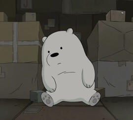 ice bear